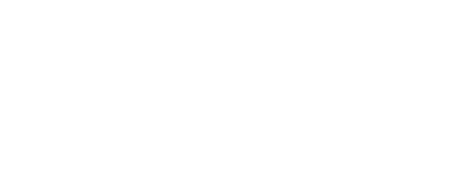 Script Consultoria Histórica